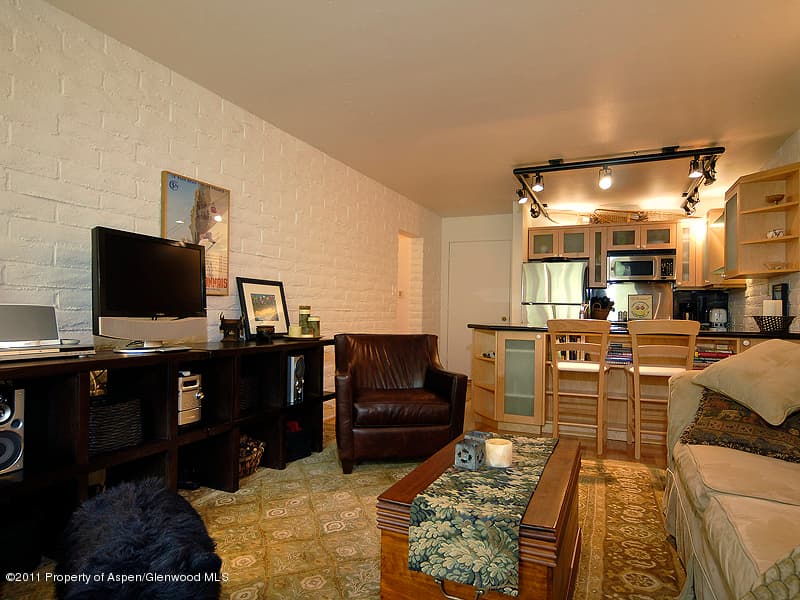 314 Vine Street, Aspen, CO 81611 - Photo 5
