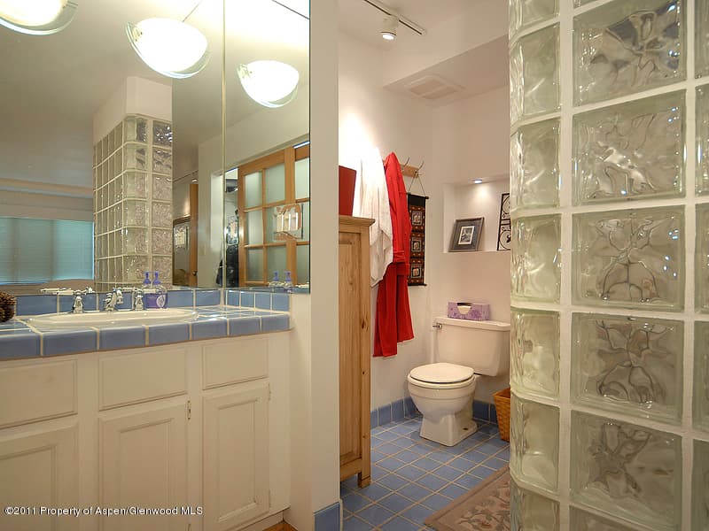 314 Vine Street, Aspen, CO 81611 - Photo 10