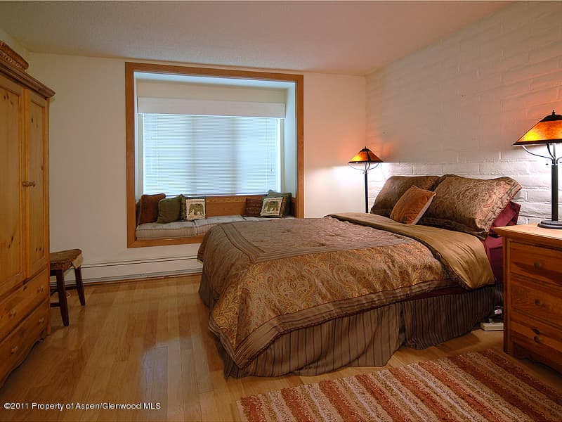 314 Vine Street, Aspen, CO 81611 - Photo 11