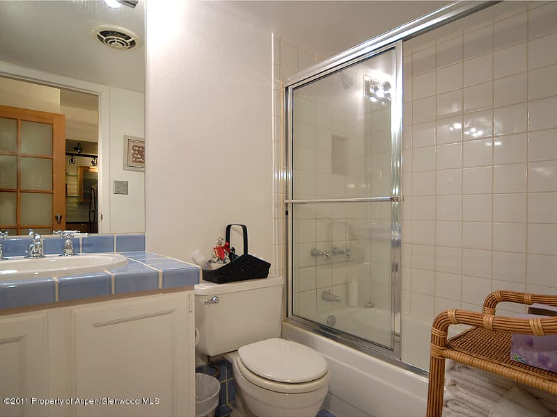 314 Vine Street, Aspen, CO 81611 - Photo 12