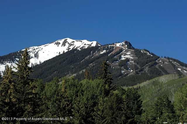 Tbd Pitkin Way Lot 1, Aspen, CO 81611 - Photo 18