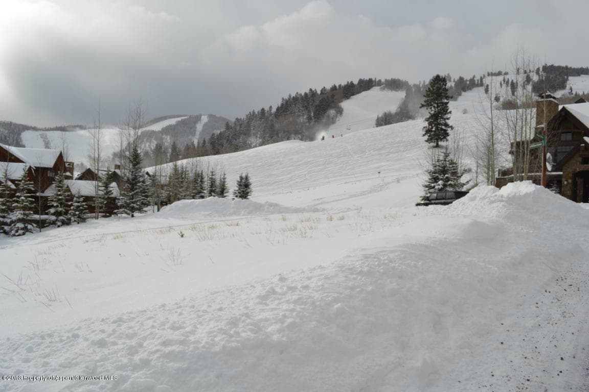 16 S Willow Court, Aspen, CO 81611 - Photo 12