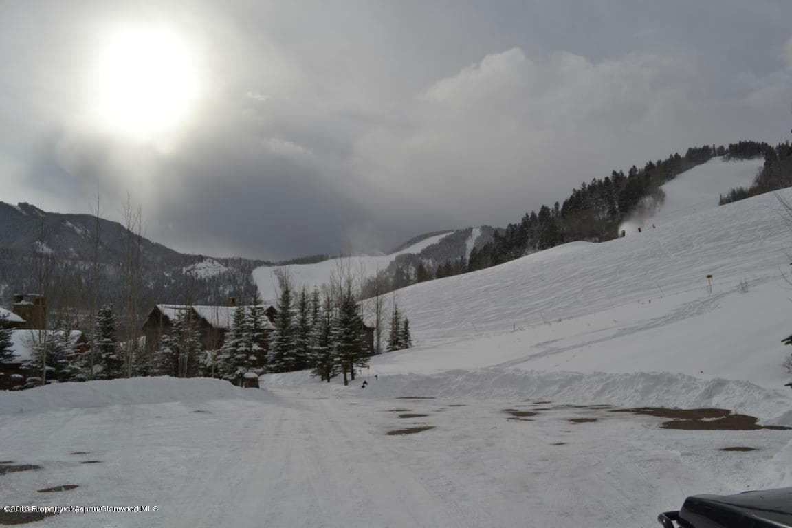 16 S Willow Court, Aspen, CO 81611 - Photo 14