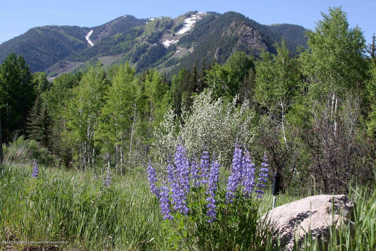 Tbd Pitkin Way Lot 1, Aspen, CO 81611
