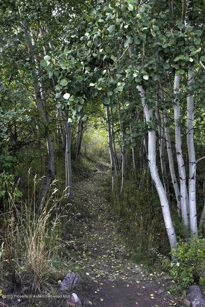 Lot 11 Double Bar X Ranch, Aspen, CO 81611 - Photo 15