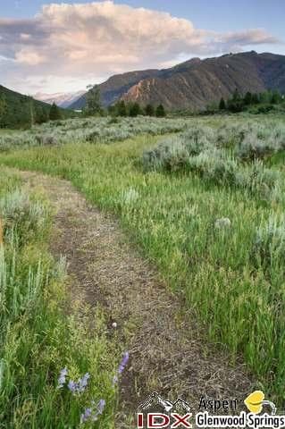 Lot 12 Double Bar X Ranch, Aspen, CO 81611 - Photo 18