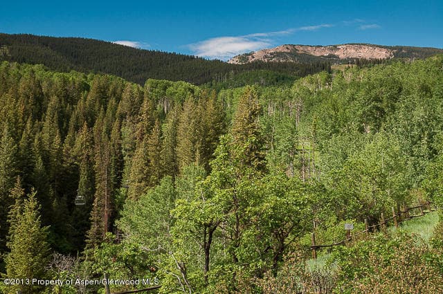 Tbd Two Creeks Drive, Snowmass Village, CO 81615 - Photo 8