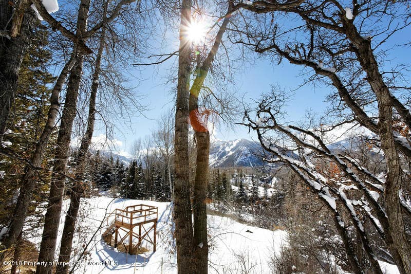972 Willoughby Way, Aspen, CO 81611 - Photo 4