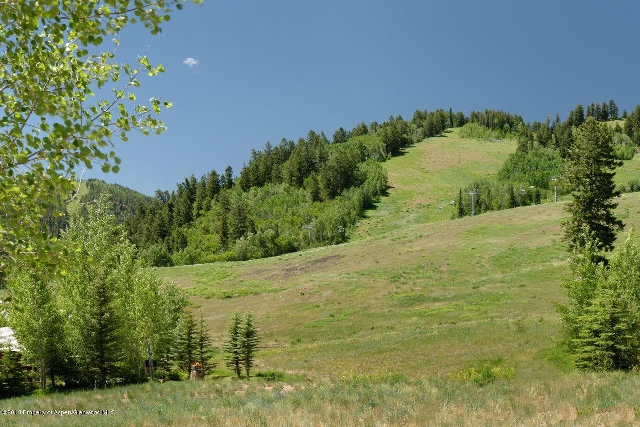 16 S Willow Court, Aspen, CO 81611 - Photo 10