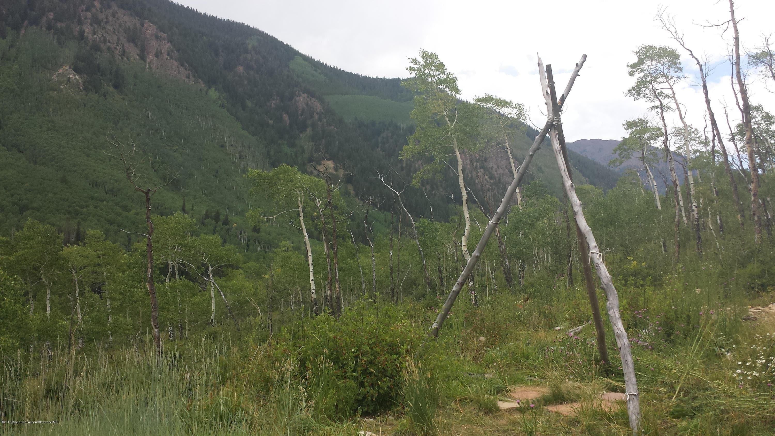 Tbd Castle Creek Road, Aspen, CO 81611 - Photo 2
