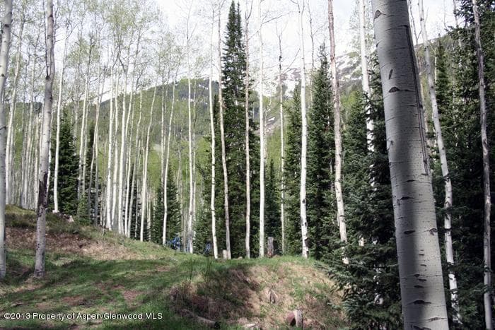 0874 Conundrum Road, Aspen, CO 81611 - Photo 5