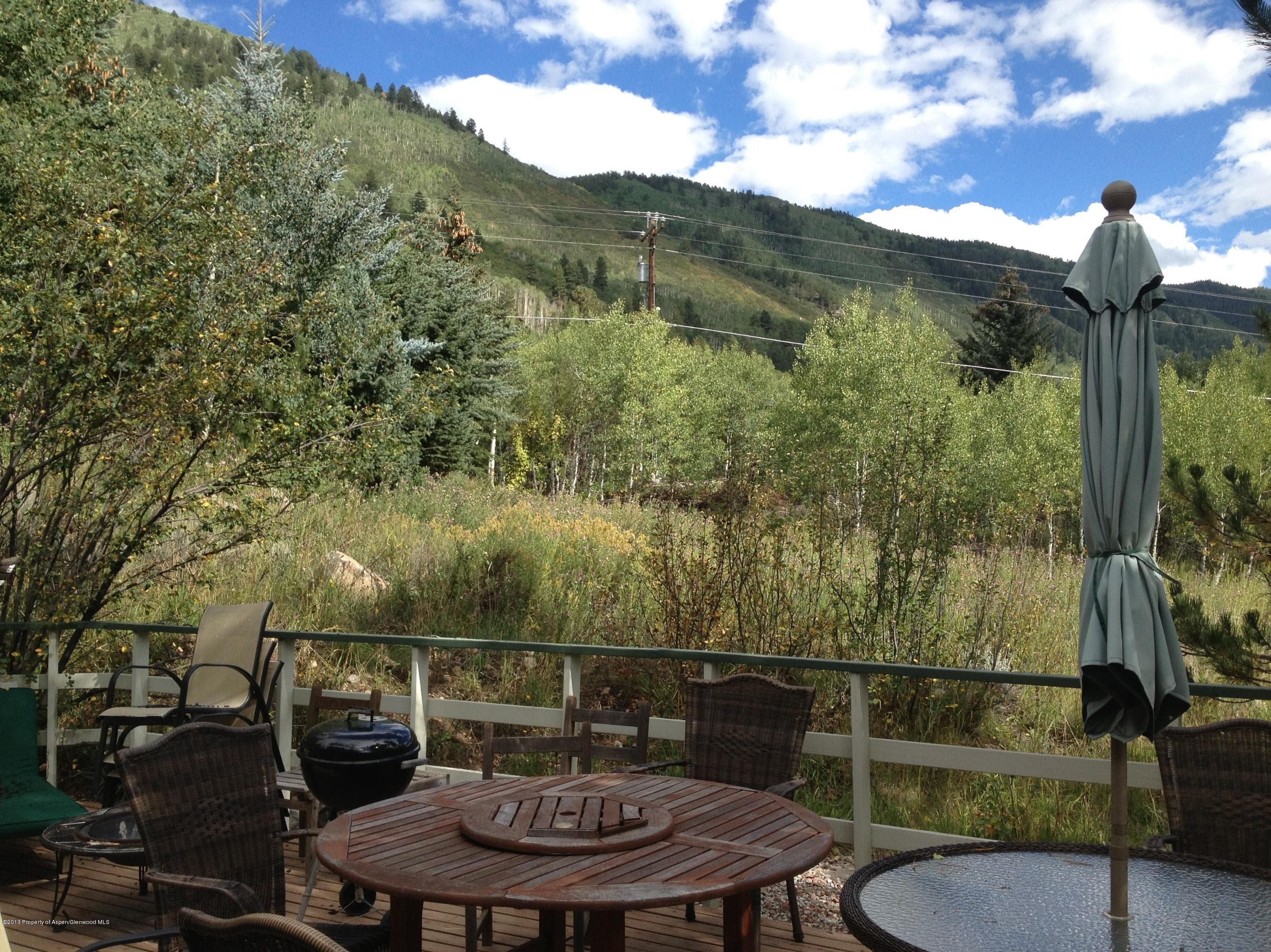 39 Roaring Fork Drive, Aspen, CO 81611 - Photo 4