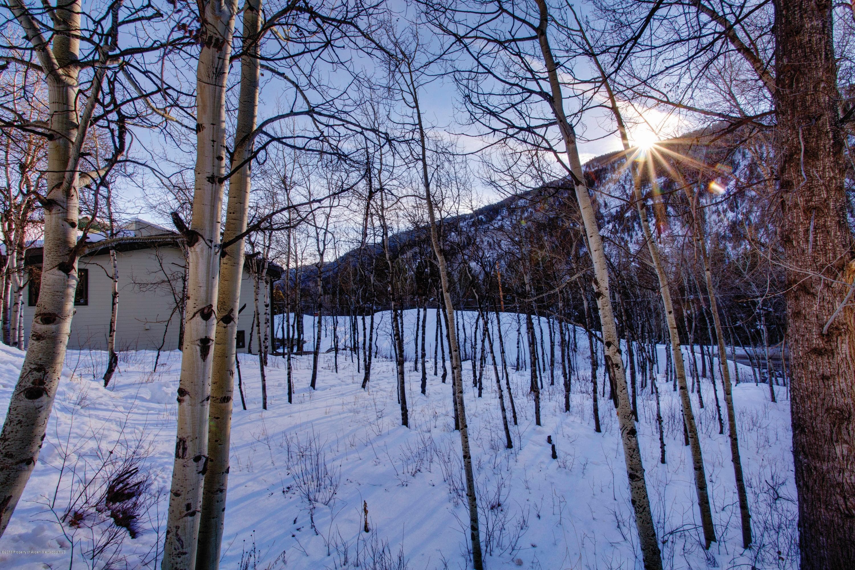 39 Roaring Fork Drive, Aspen, CO 81611 - Photo 11