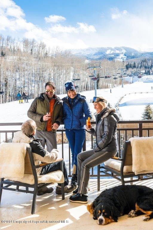 130 Wood Road 235, Snowmass Village, CO 81615 - Photo 7