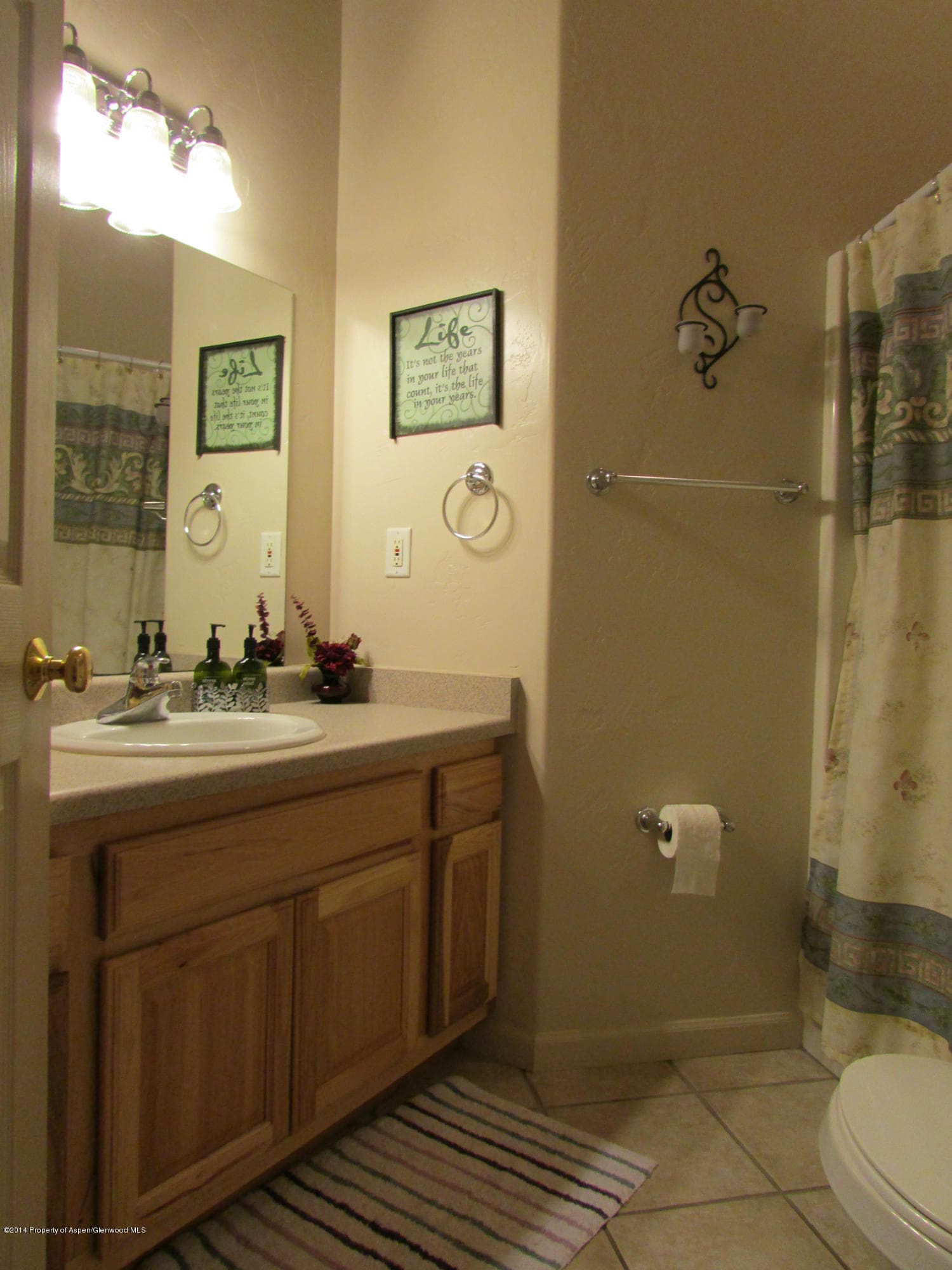 235 Ponderosa Circle, Battlement Mesa, CO 81635 - Photo 9