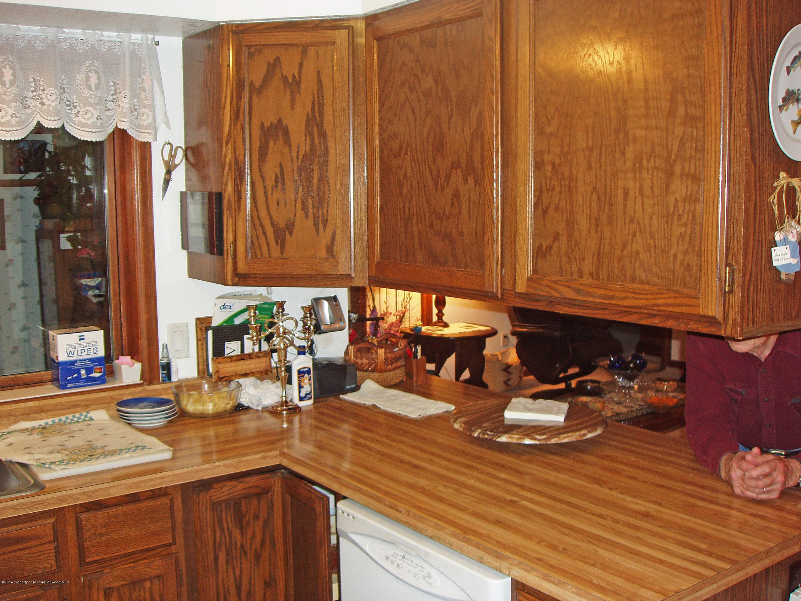 158 Columbine Lane, Parachute, CO 81635 - Photo 4