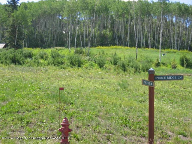 71 Spruce Ridge, Snowmass Village, CO 81615