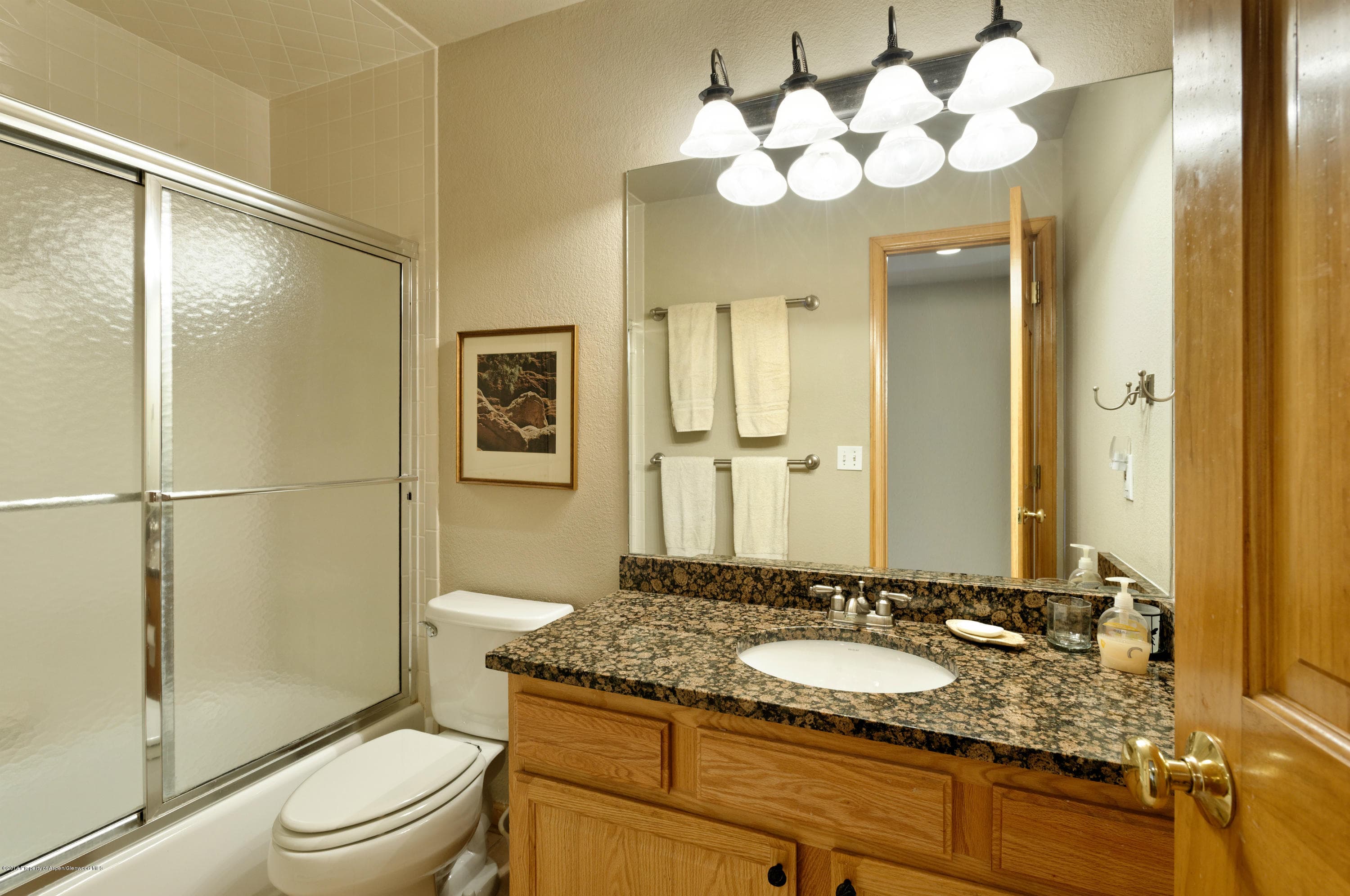 204 Dakota Meadows Drive, Carbondale, CO 81623 - Photo 10