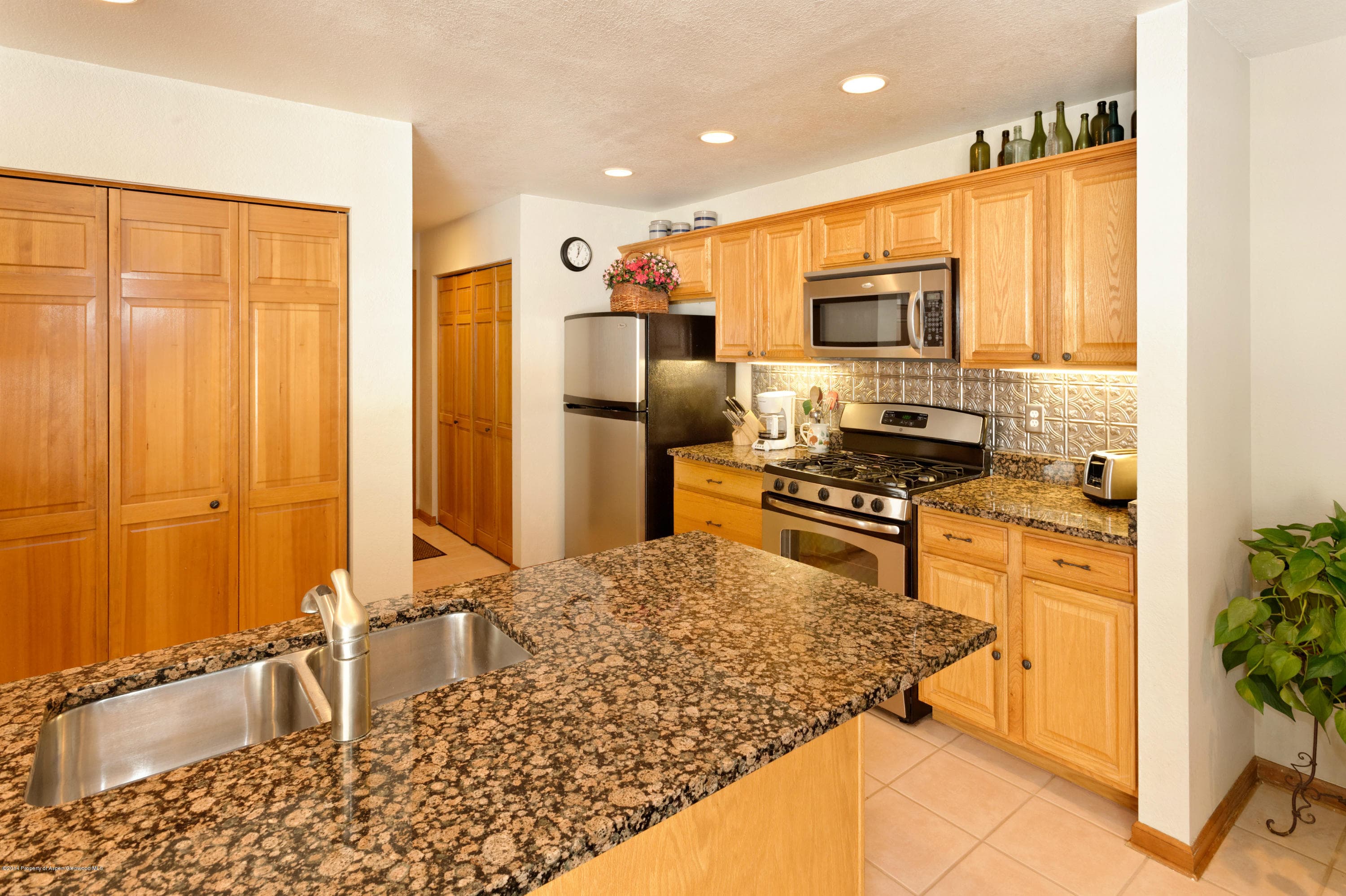 204 Dakota Meadows Drive, Carbondale, CO 81623 - Photo 5