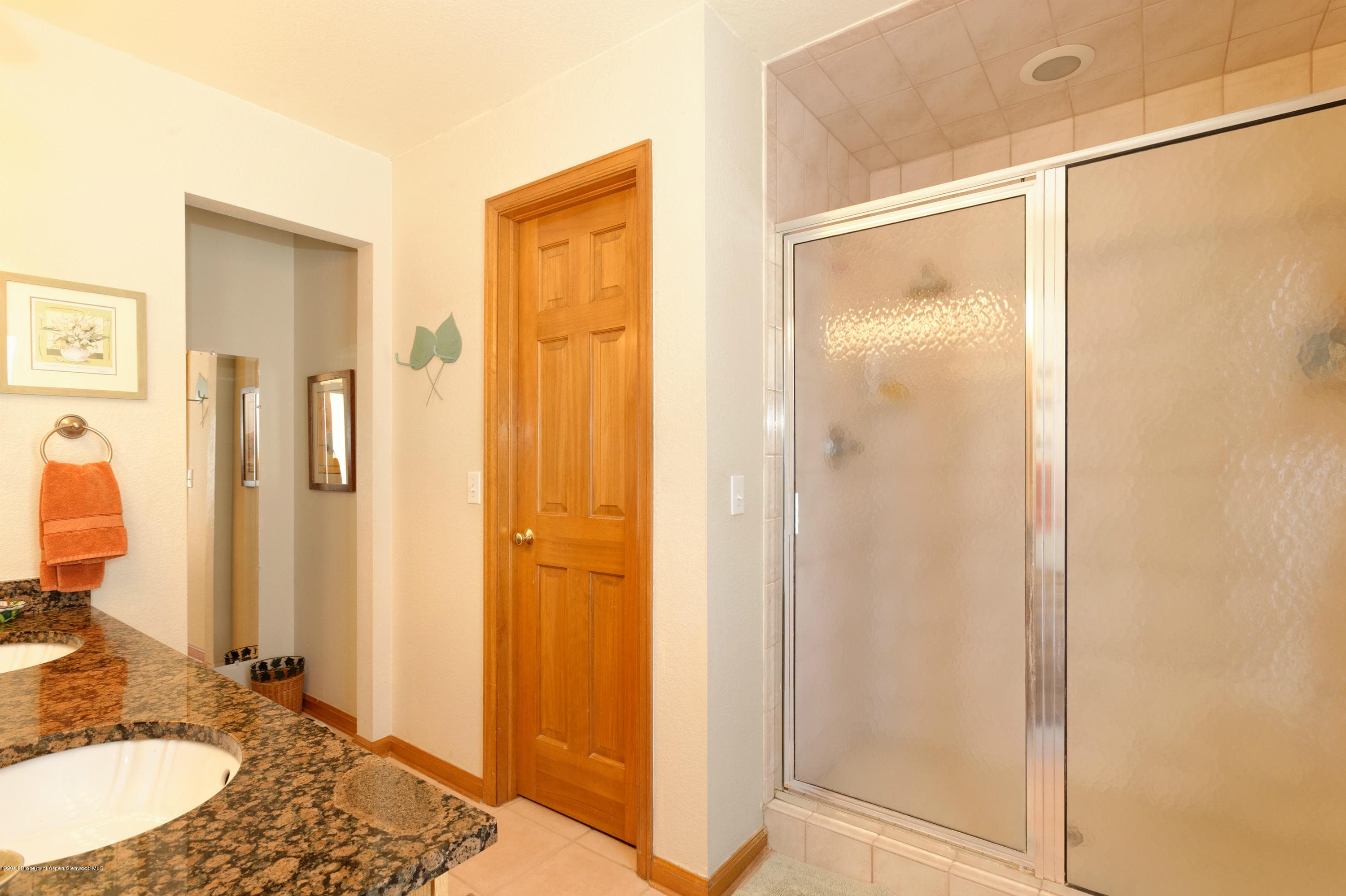 204 Dakota Meadows Drive, Carbondale, CO 81623 - Photo 7