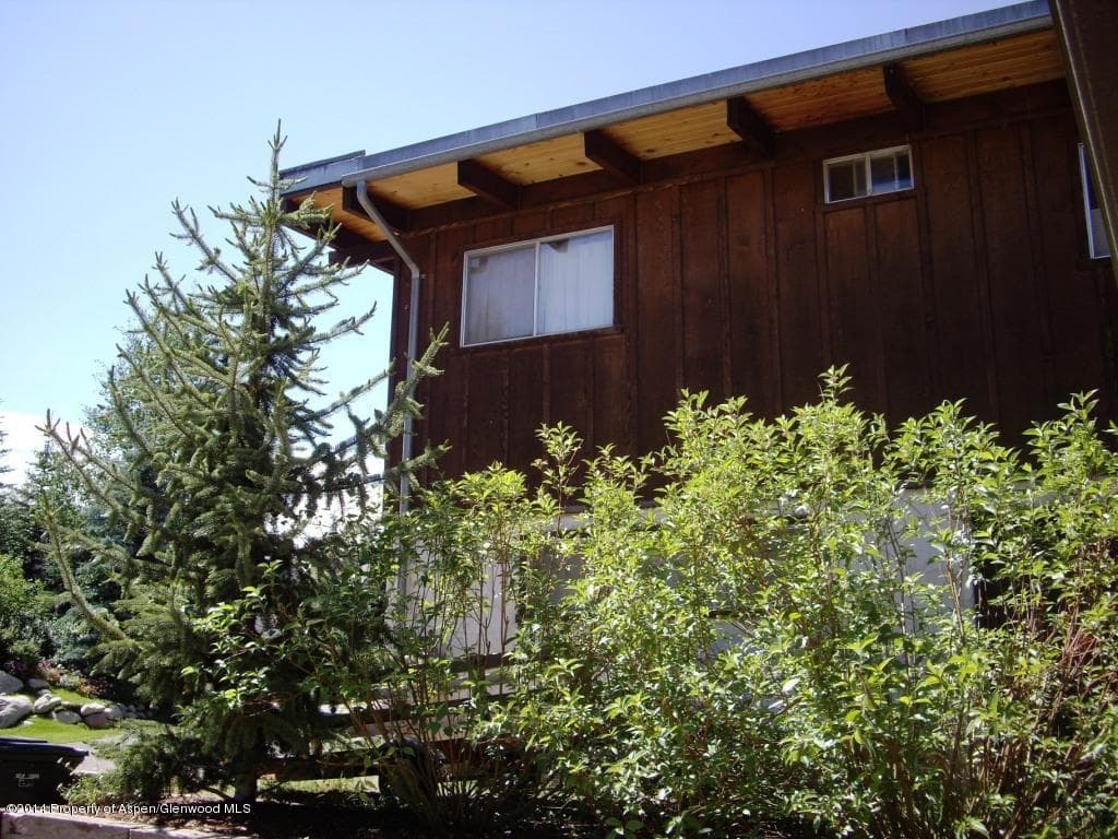 1102 +1106 E Cooper Avenue, Aspen, CO 81611 - Photo 11