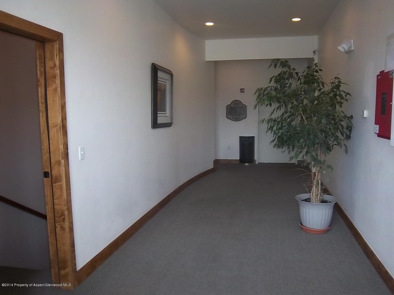 995 Cowen Drive, Carbondale, CO 81623 - Photo 11