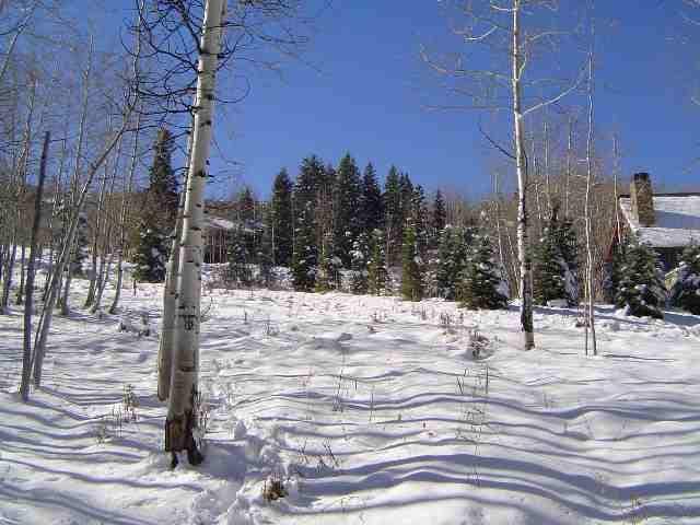 1005 Wood Road, Snowmass Village, CO 81615 - Photo 8