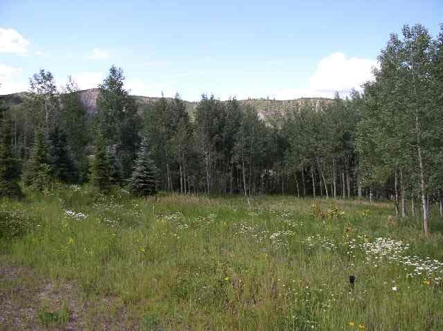 1005 Wood Road, Snowmass Village, CO 81615 - Photo 10