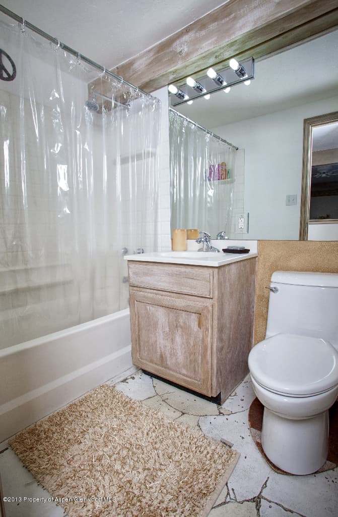 119 E Cooper Avenue #12, Aspen, CO 81611 - Photo 11