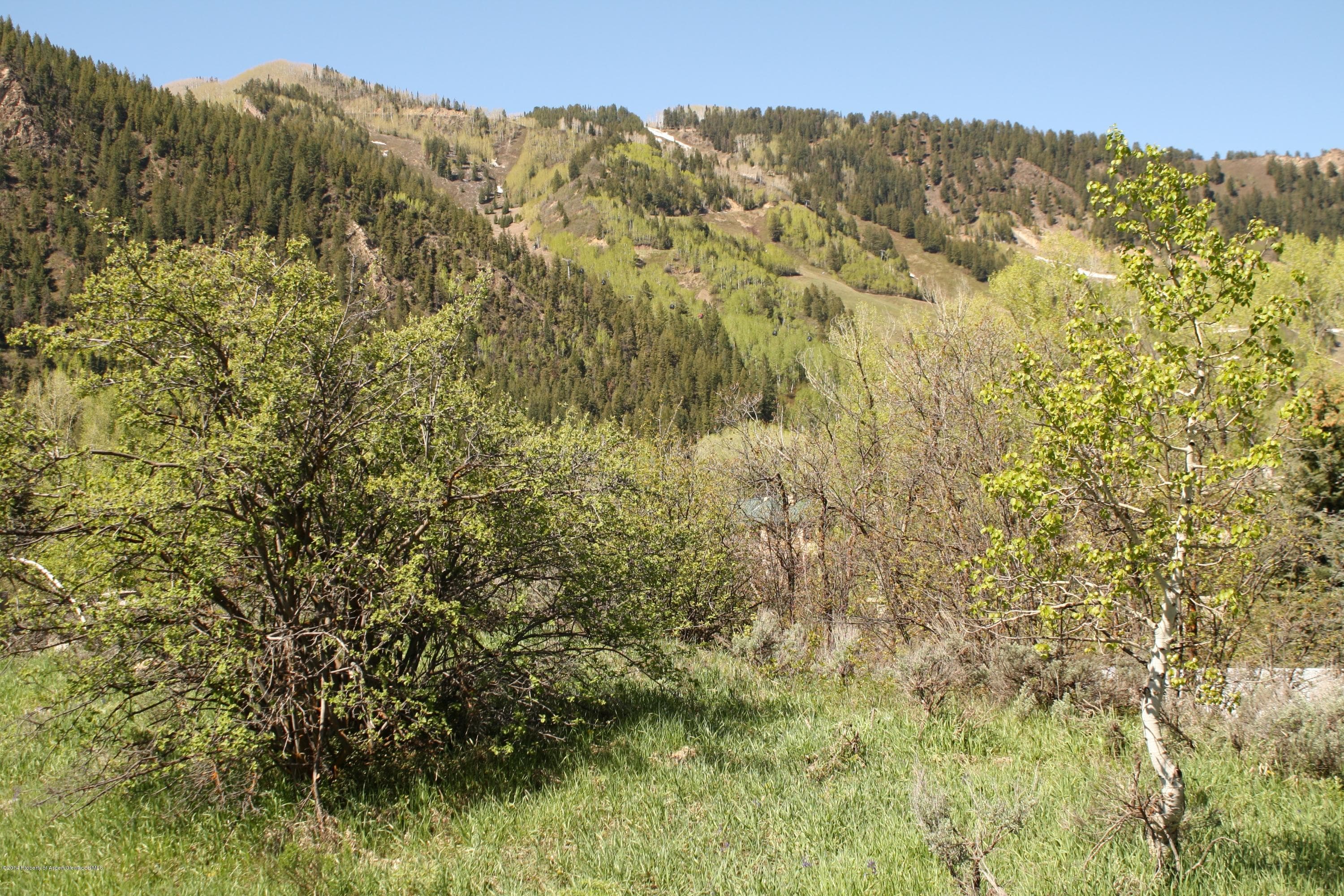 Tbd S Riverside Avenue, Aspen, CO 81611 - Photo 3