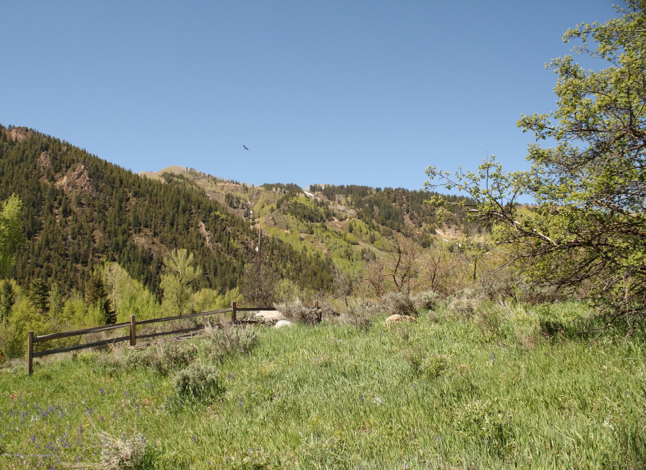 Tbd S Riverside Avenue, Aspen, CO 81611