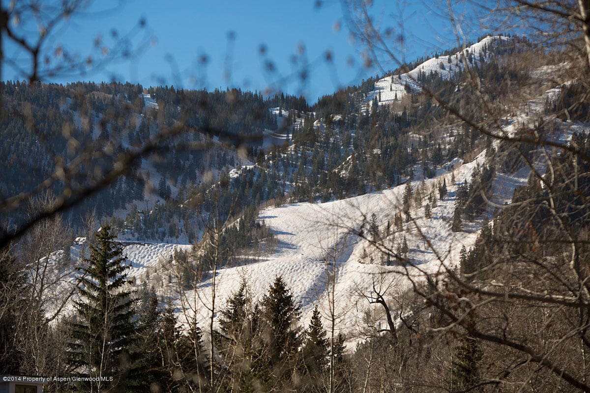 700 W Smuggler Street, Aspen, CO 81611 - Photo 16