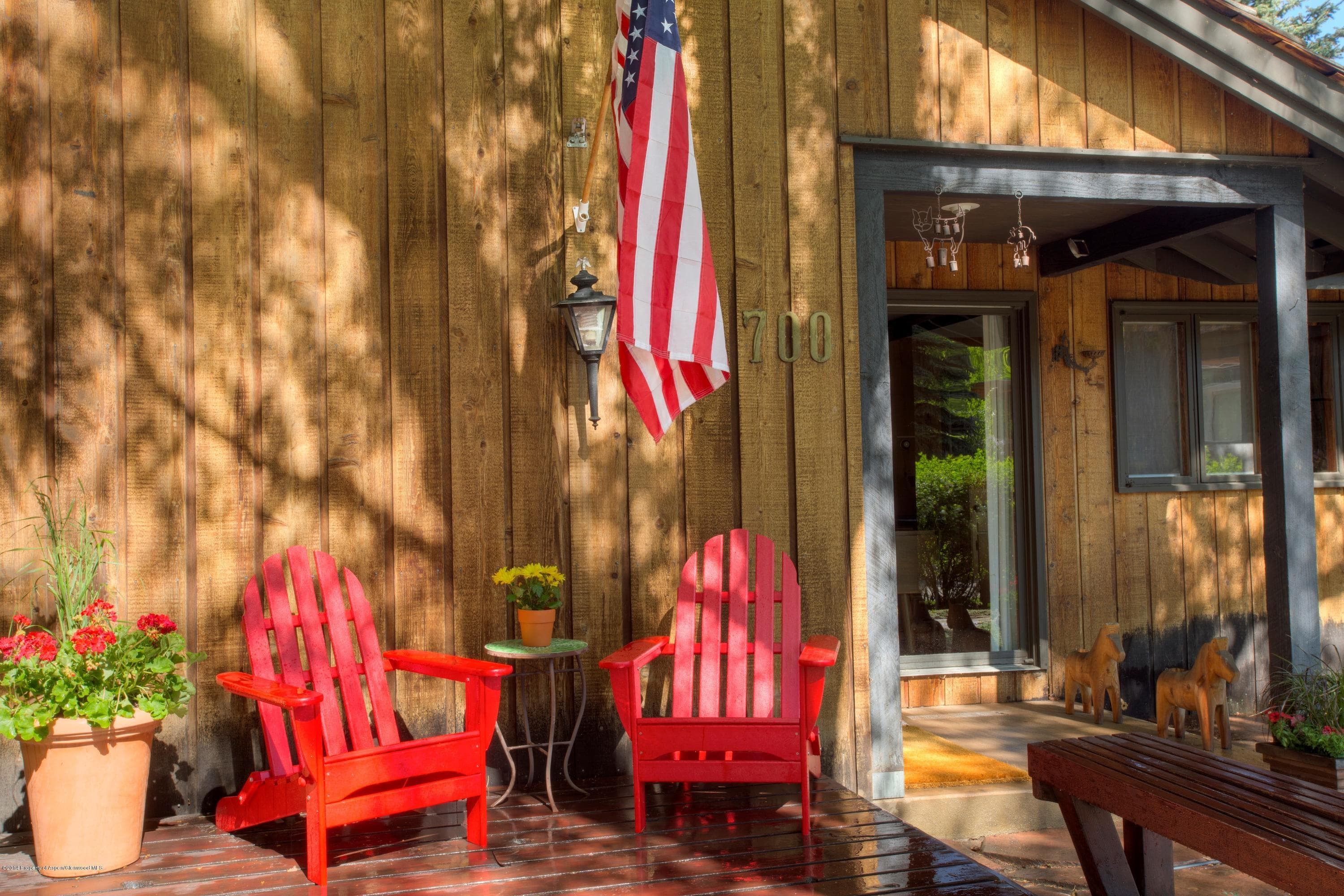 700 W Smuggler Street, Aspen, CO 81611 - Photo 4