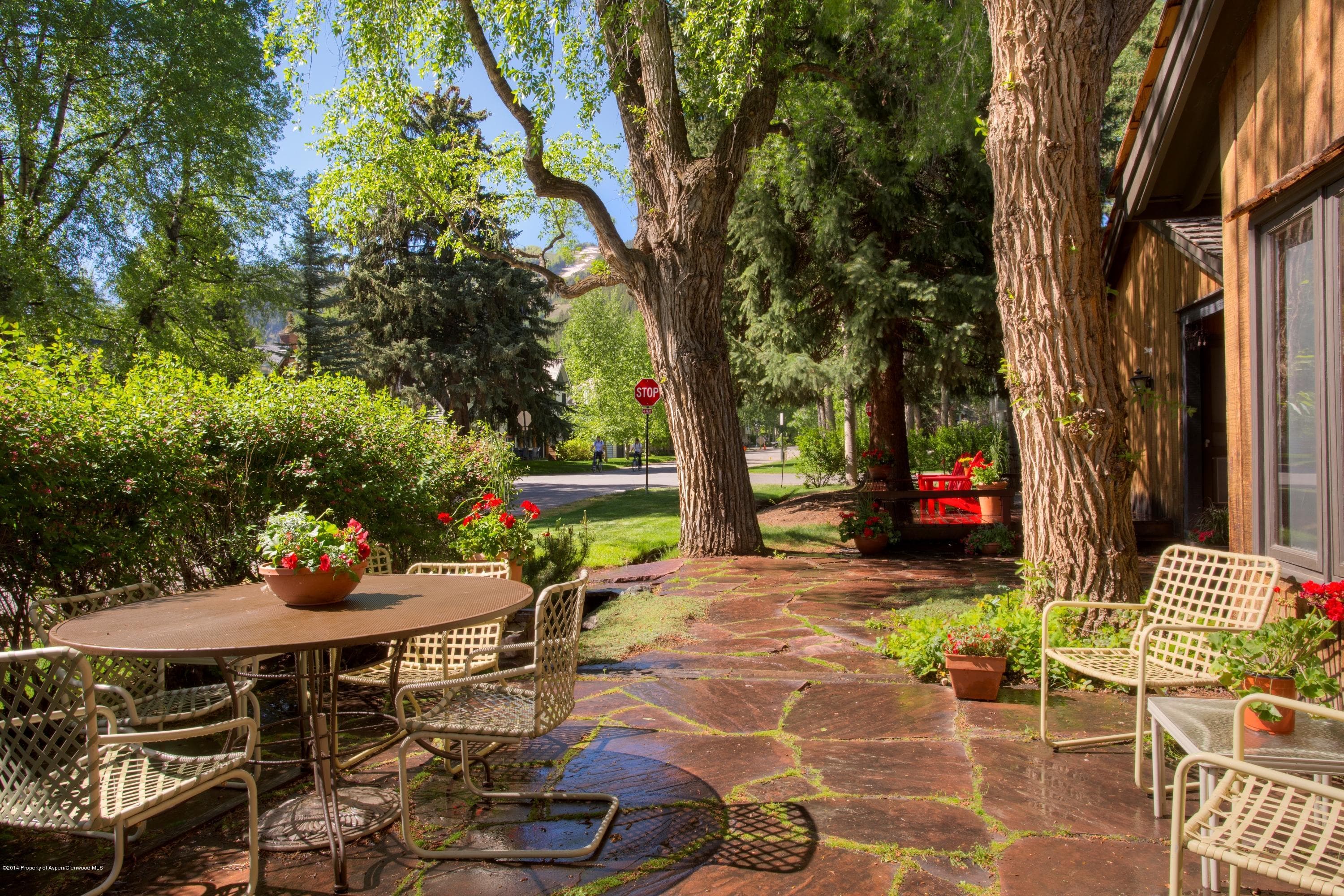 700 W Smuggler Street, Aspen, CO 81611 - Photo 6
