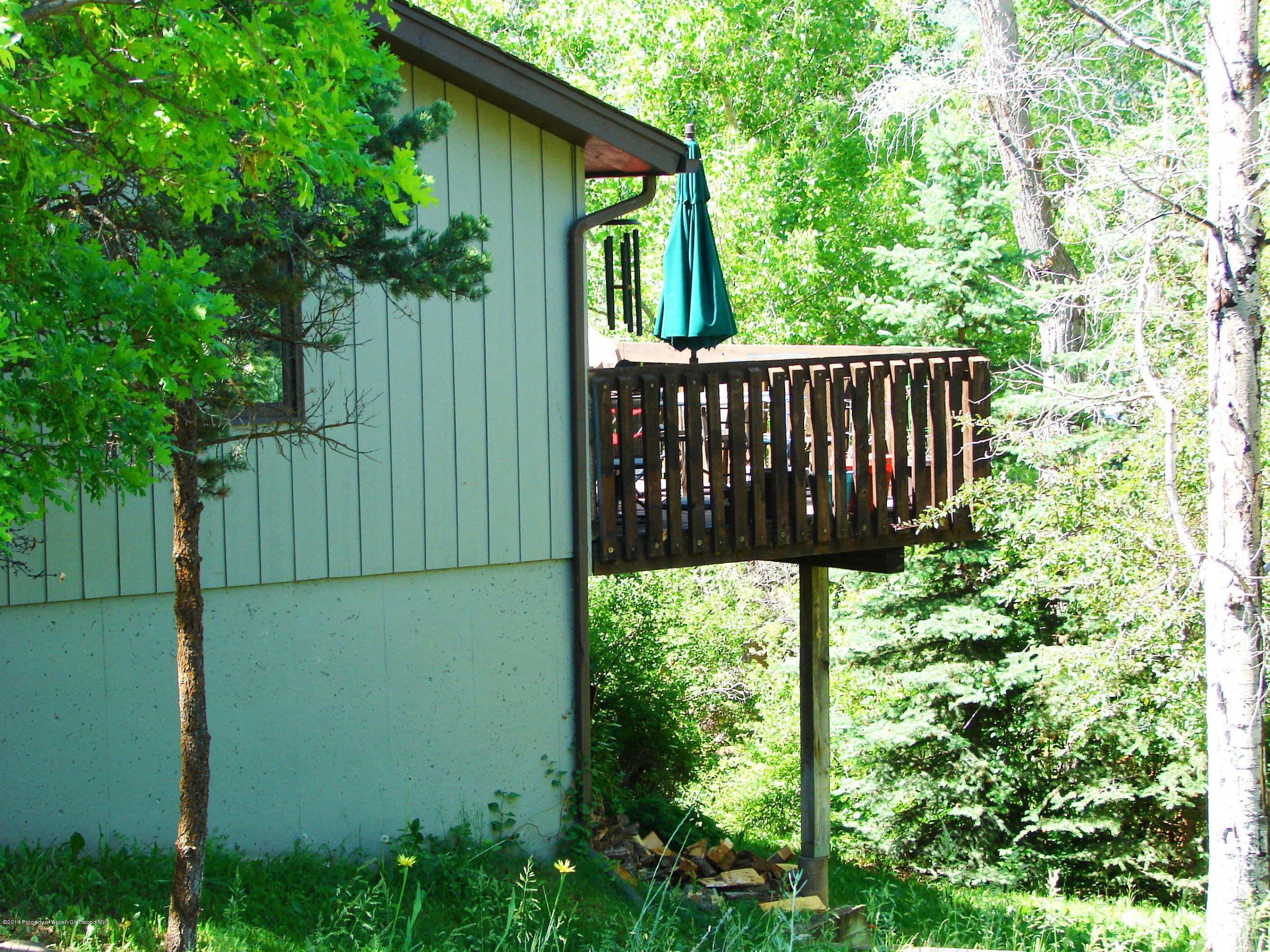 1641 Lincolnwood Drive, Glenwood Springs, CO 81601 - Photo 22