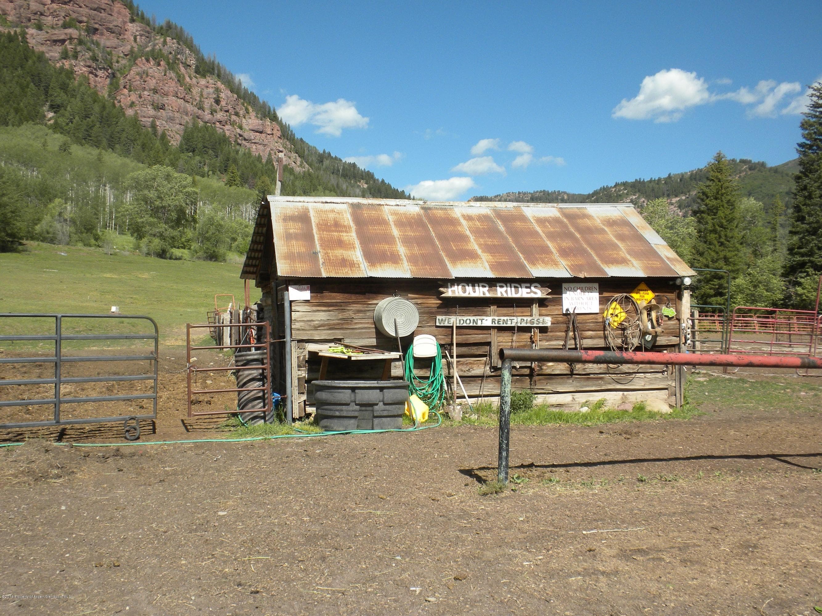 17843 Coal Creek Road, Redstone, CO 81623 - Photo 6