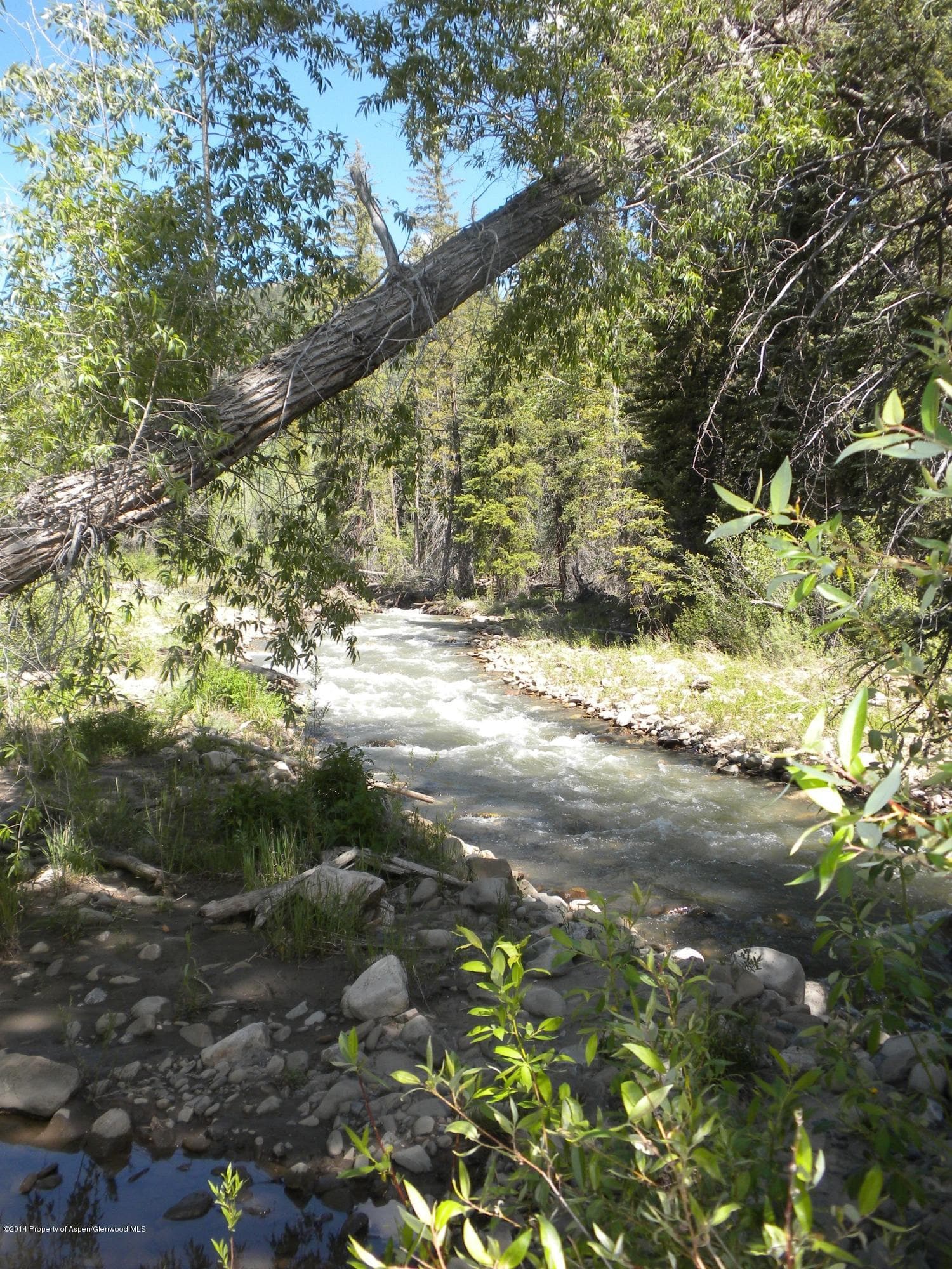 17843 Coal Creek Road, Redstone, CO 81623 - Photo 12