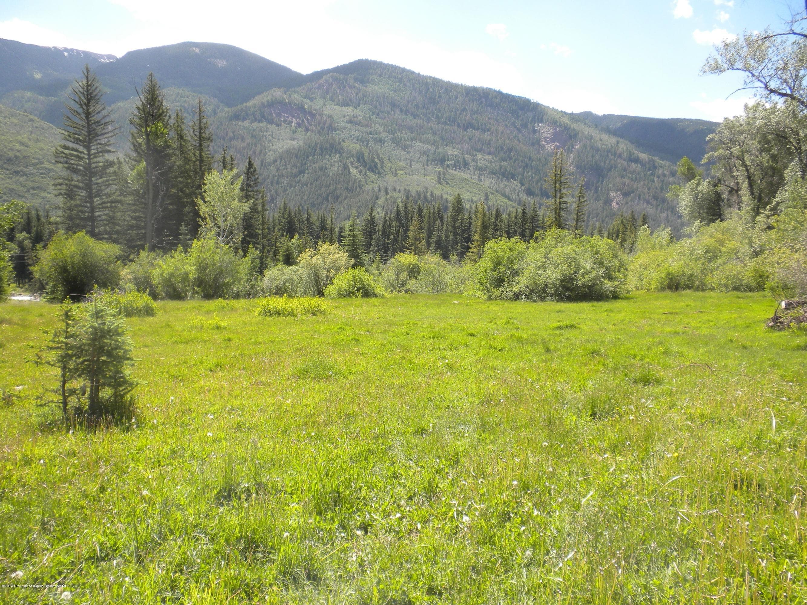 17843 Coal Creek Road, Redstone, CO 81623 - Photo 14