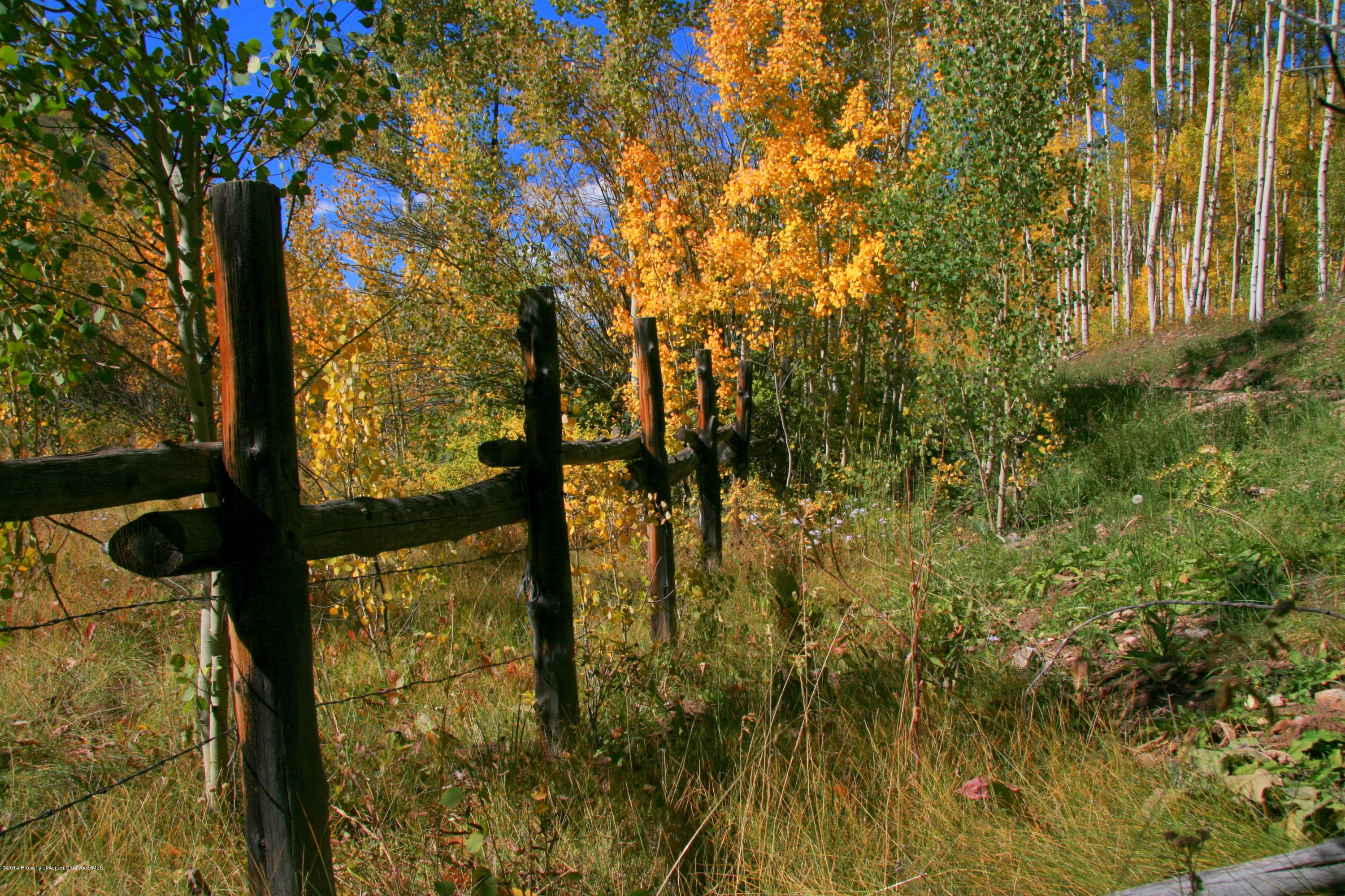 250 Express Creek Road, Aspen, CO 81611 - Photo 39