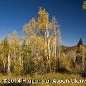 540 Pine Crest Drive, Snowmass Village, CO 81615 - Photo 4