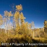 540 Pine Crest Drive, Snowmass Village, CO 81615 - Photo 5