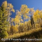 540 Pine Crest Drive, Snowmass Village, CO 81615 - Photo 8