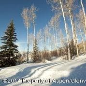 540 Pine Crest Drive, Snowmass Village, CO 81615 - Photo 21