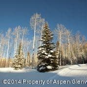 540 Pine Crest Drive, Snowmass Village, CO 81615 - Photo 23