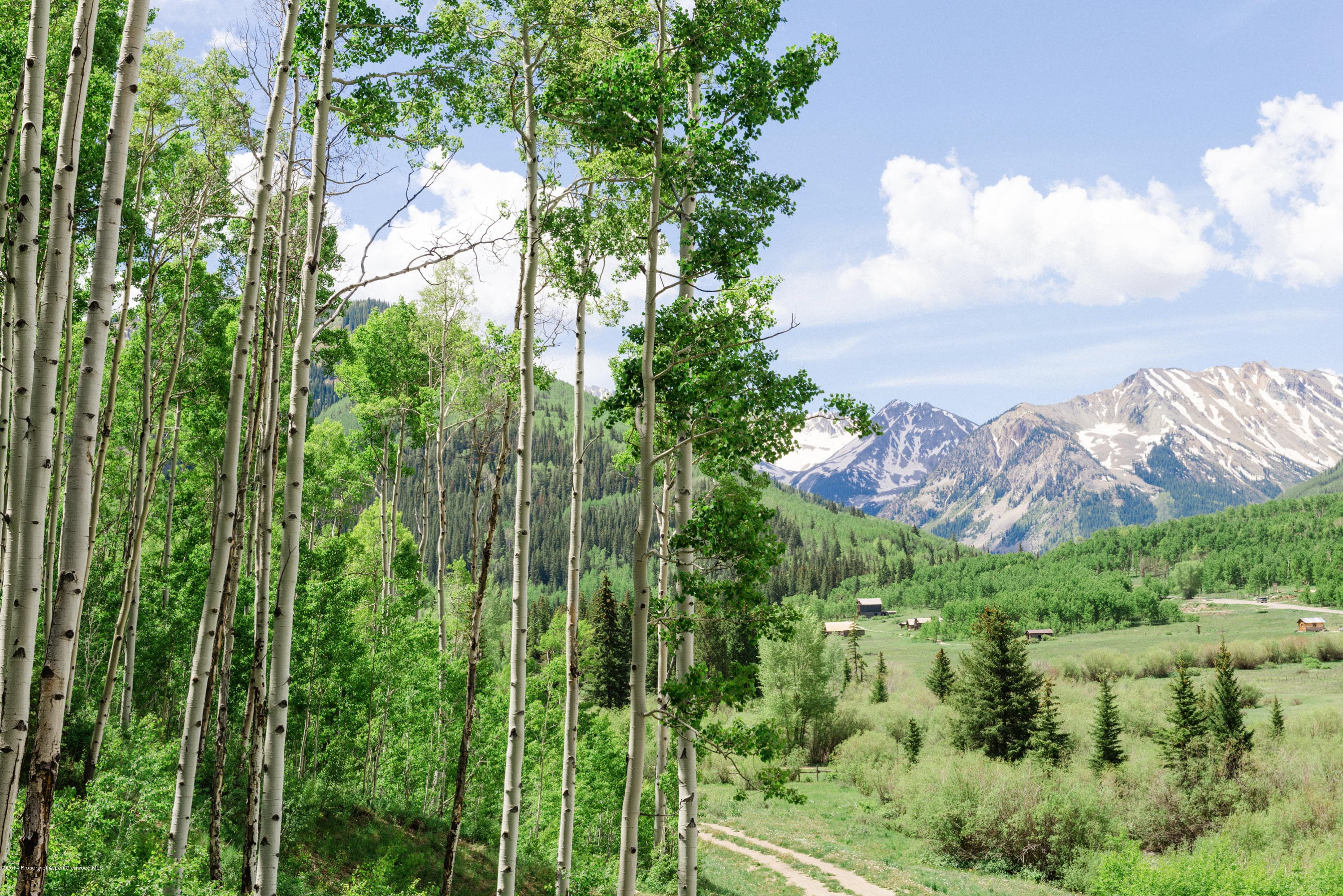 250 Express Creek Road, Aspen, CO 81611 - Photo 3