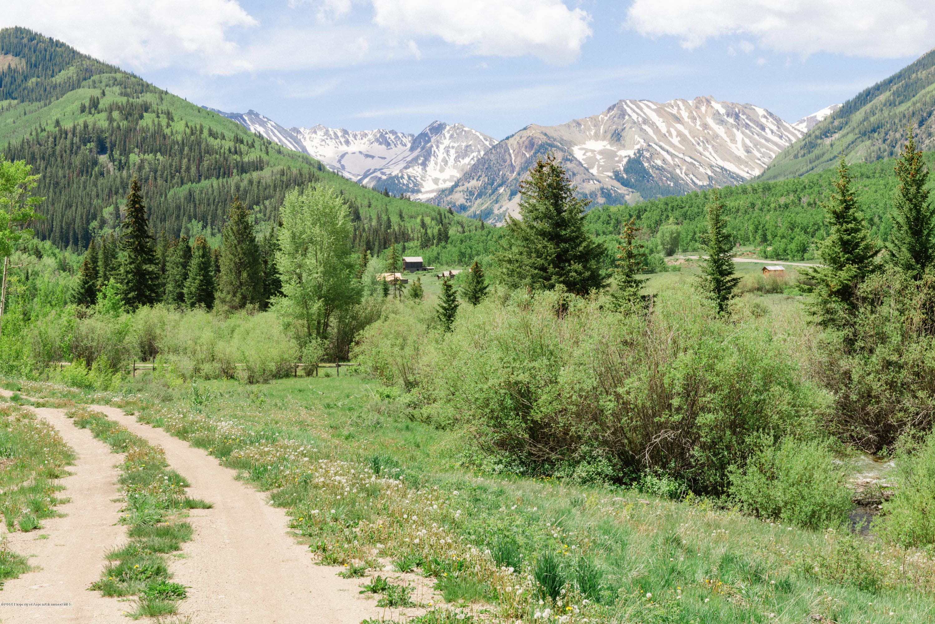 250 Express Creek Road, Aspen, CO 81611 - Photo 4