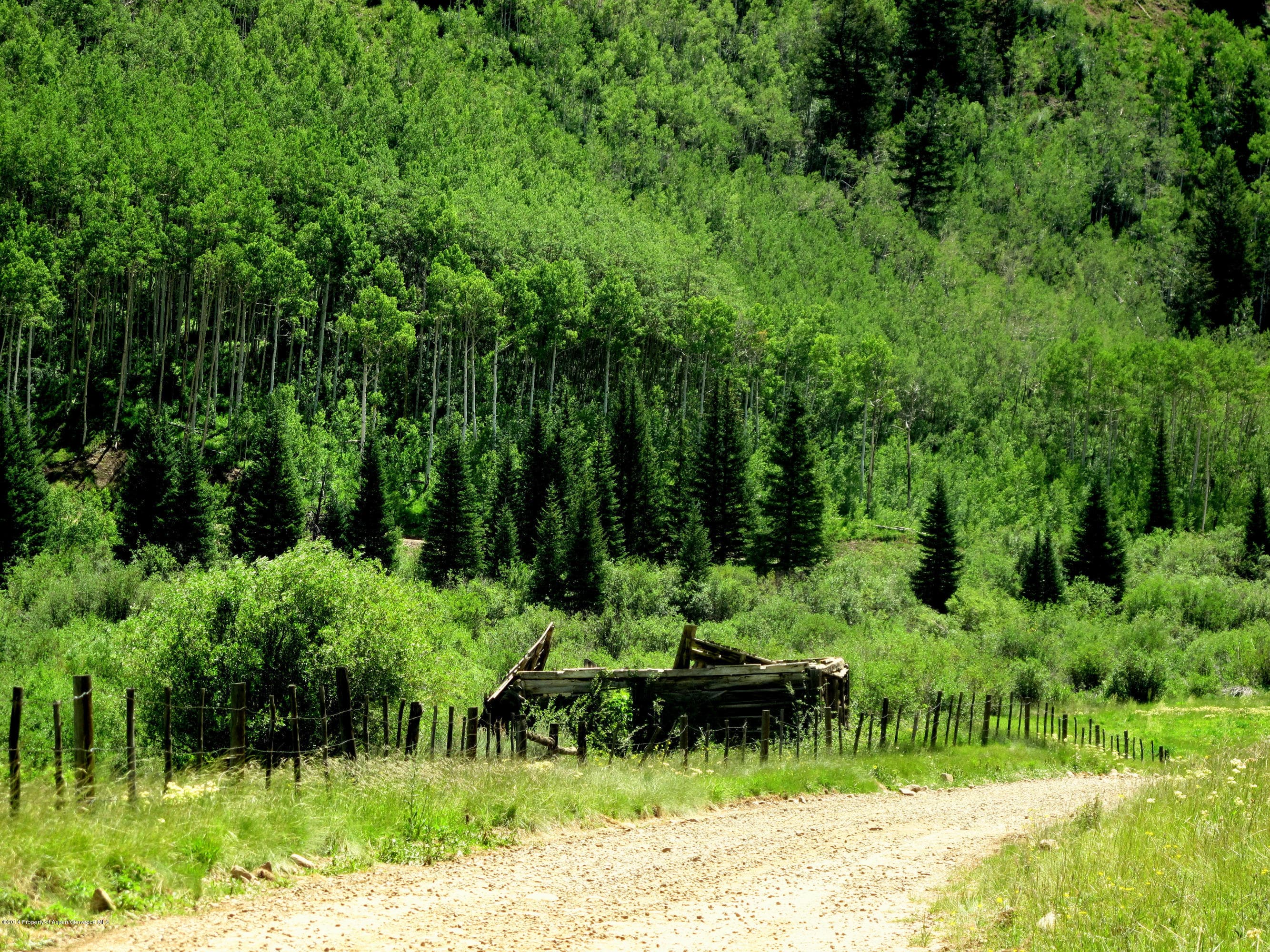 250 Express Creek Road, Aspen, CO 81611 - Photo 21