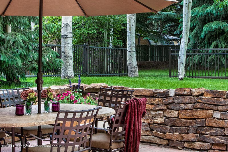 817 W North Street, Aspen, CO 81611 - Photo 18