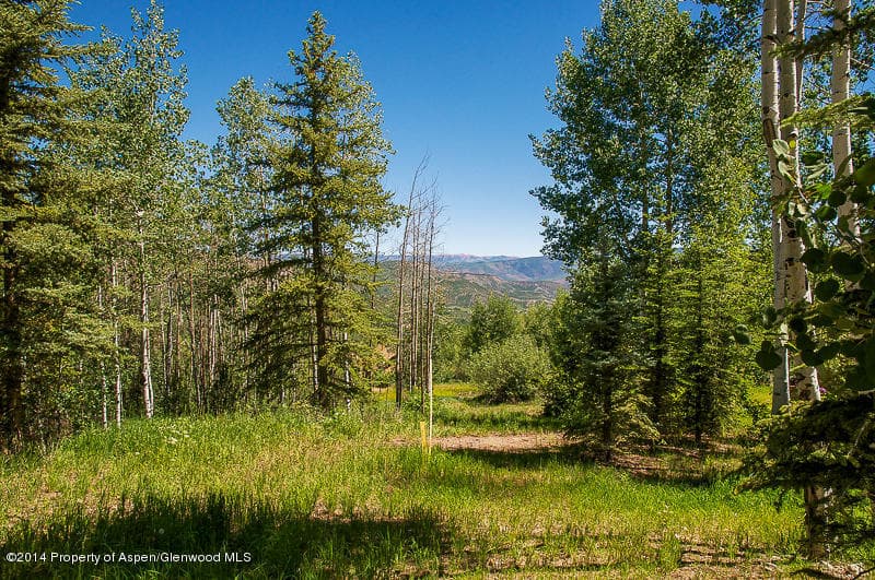 - 719 Edgewood, Snowmass Village, CO 81615 - Photo 2