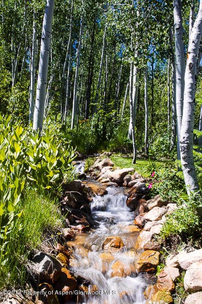 - 719 Edgewood, Snowmass Village, CO 81615 - Photo 5
